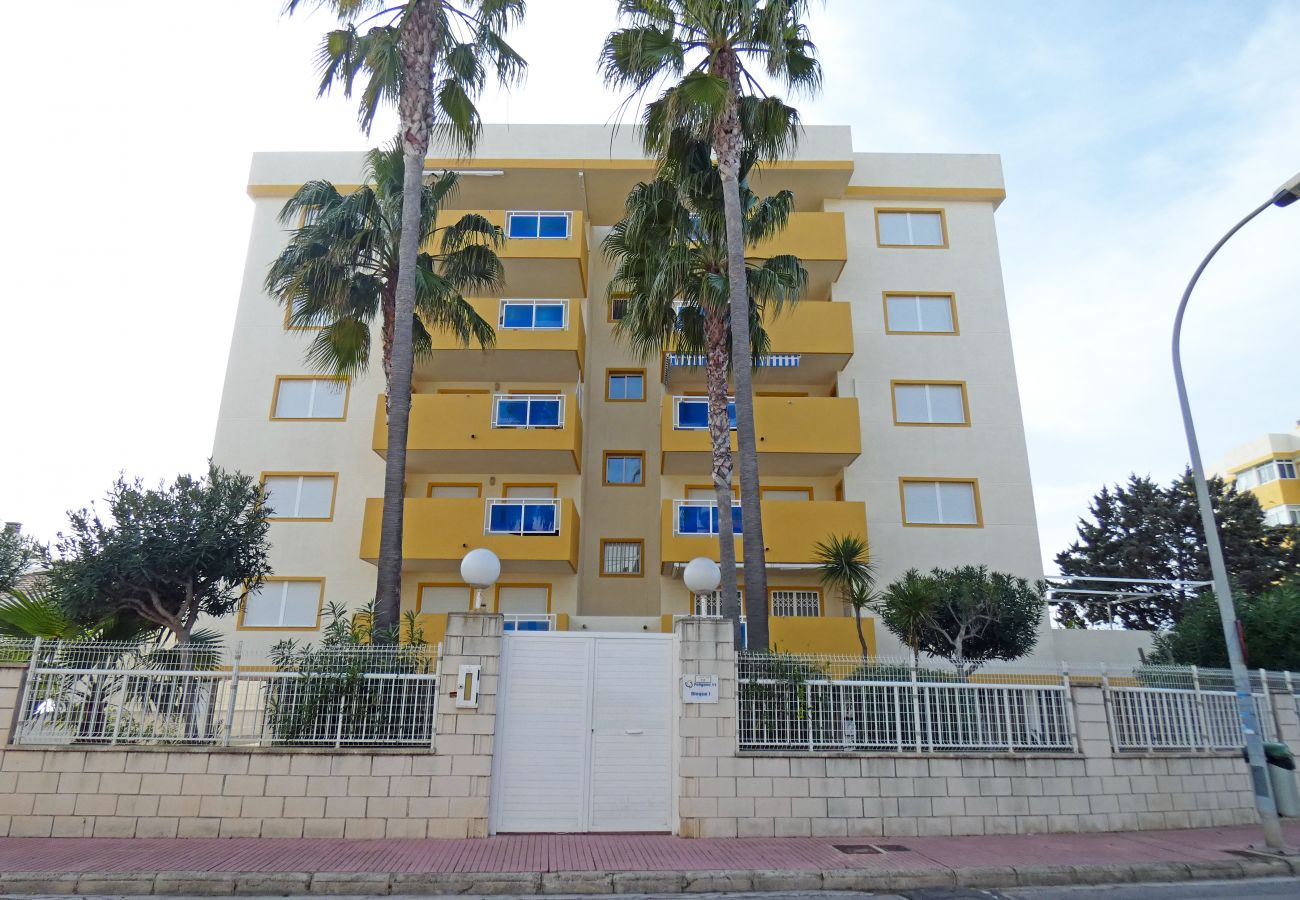 Apartamento en Oliva - San Fernando Oliva Nova AP180 