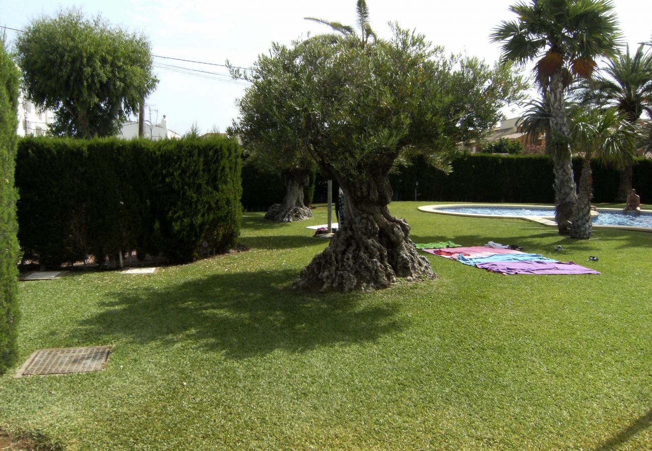 Apartamento en Denia - Anacasa Sueño de Denia I Marines Bassetes AP2108 