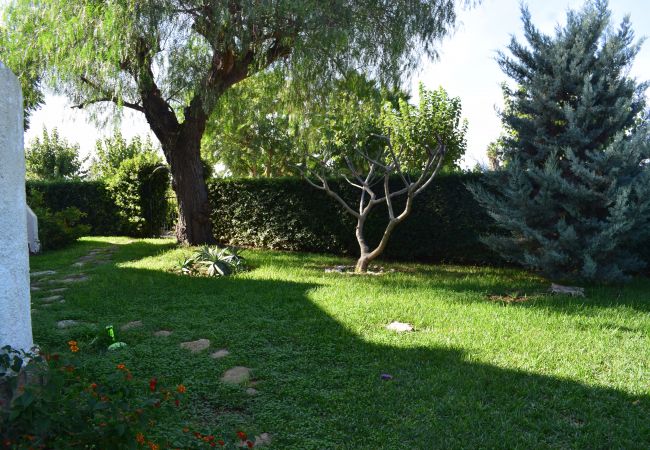 Apartamento en Denia - Anacasa Marineta Bot PB2103 Apartamento en Denia - Anacasa Marineta Bot PB2103