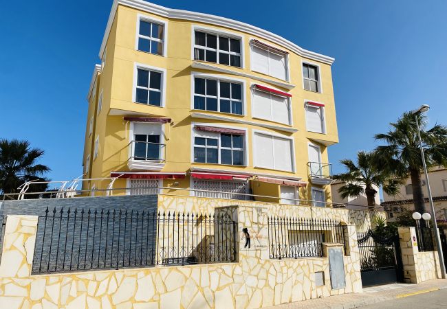 Oliva - Apartamento