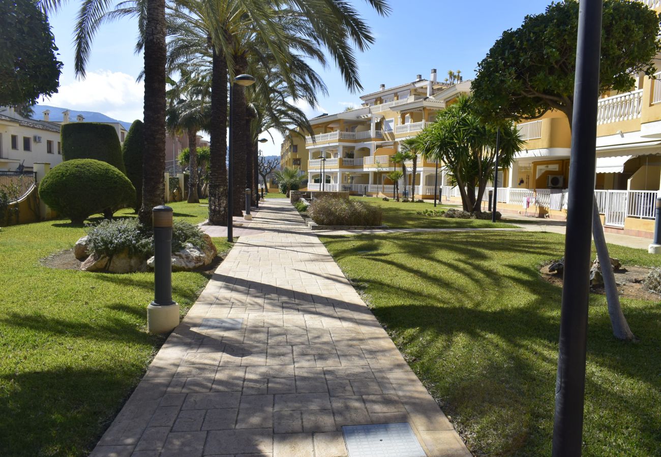 Apartamento en Denia - Anacasa Playasol Mediterranea AP2243