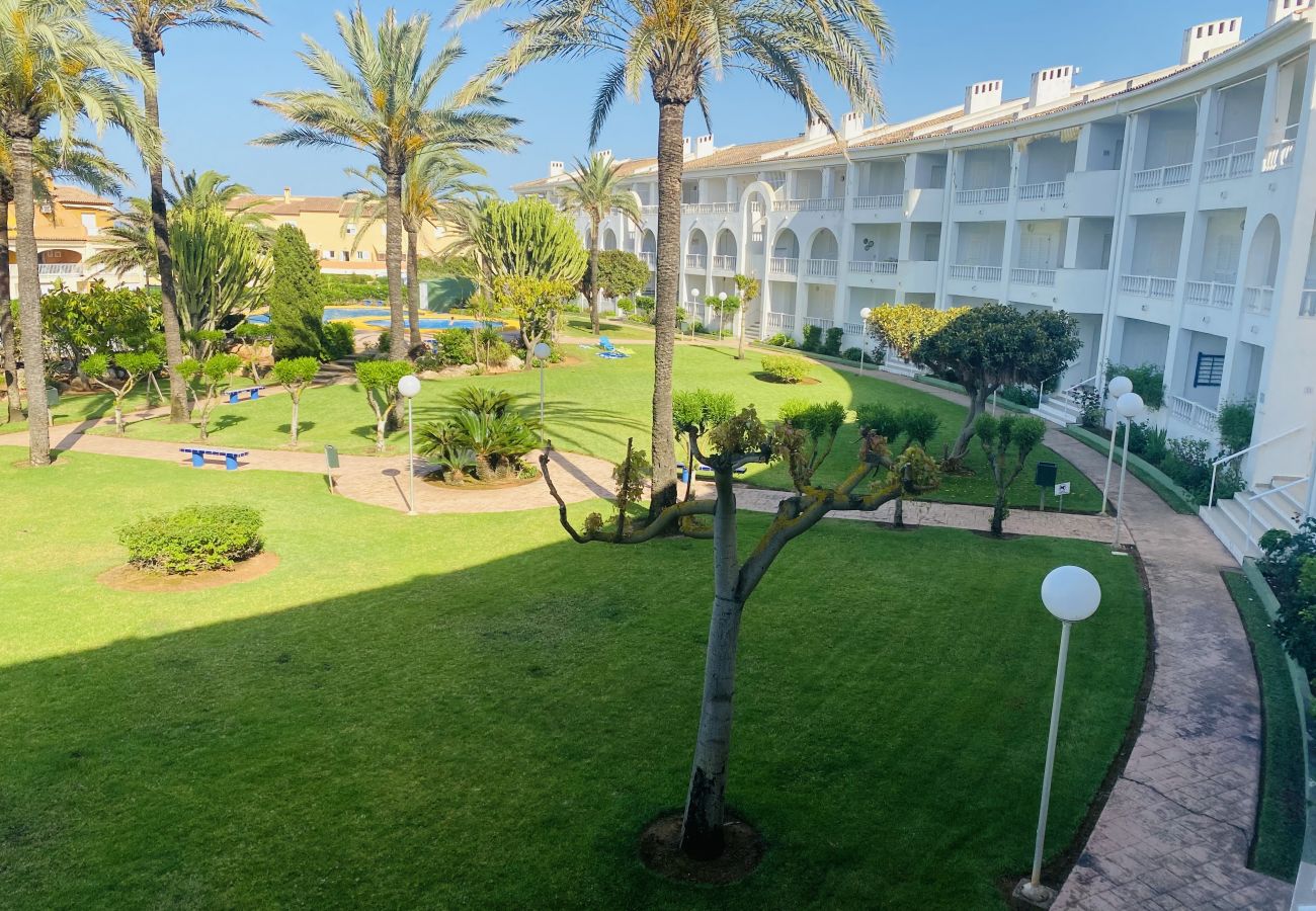 Apartamento en Oliva - San Fernando Roderic Osona MET AP5144