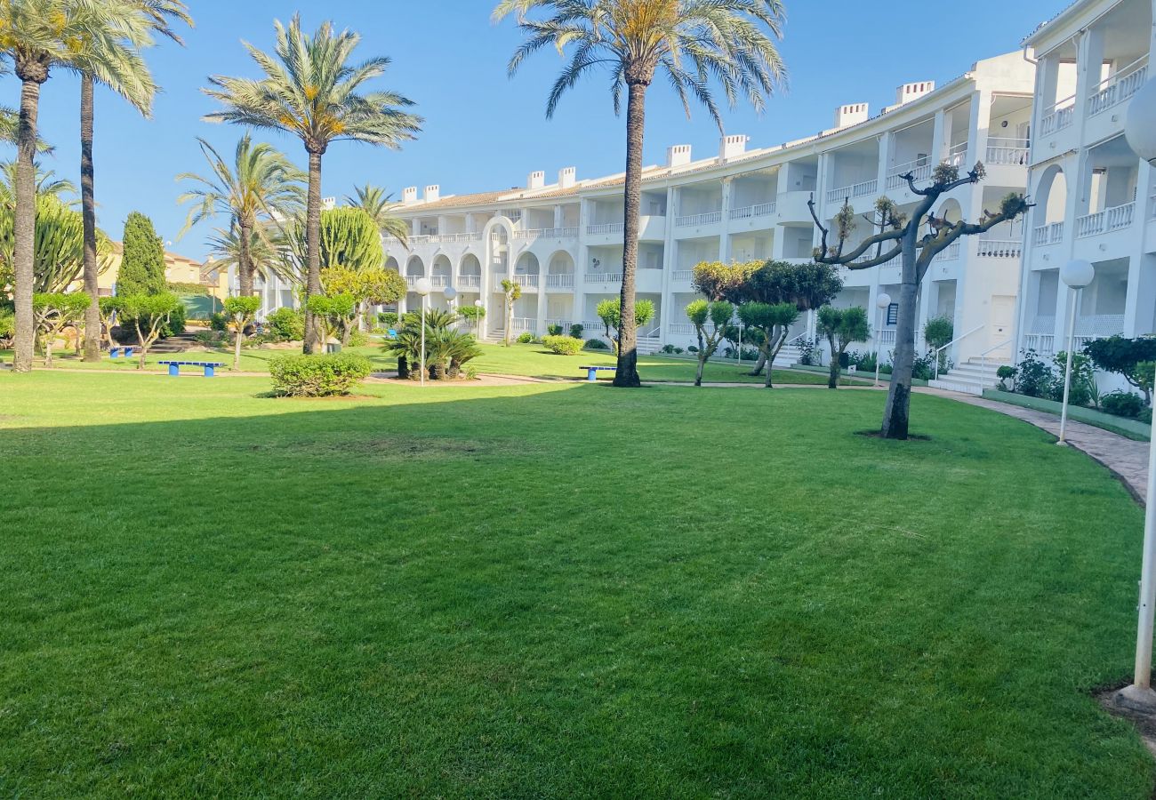 Apartamento en Oliva - San Fernando Roderic Osona MET AP5144