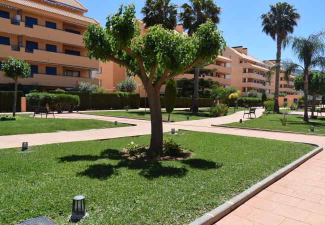 Apartamento en Denia - Anacasa Marjales de las Marinas AT2214 Apartamento en Denia - Anacasa Marjales de las Marinas AT2214