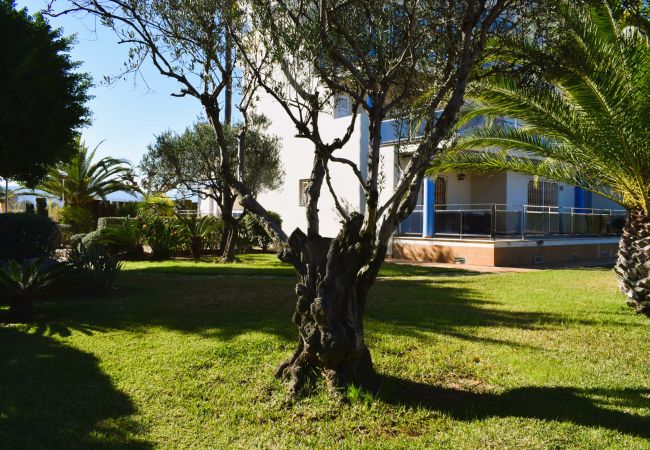 Estudio en Denia - Anacasa Estudio Marivent Deveses ES1125 Estudio en Denia - Anacasa Estudio Marivent Deveses ES1125