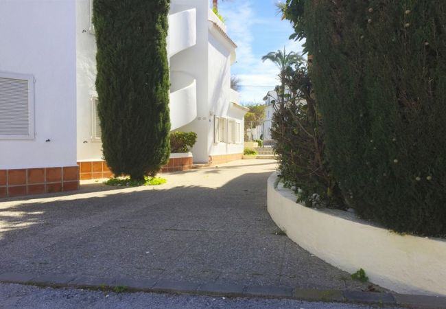 Apartment in Denia - AP2116 Oasis Beach II Apartment in Denia - AP2116 Oasis Beach II
