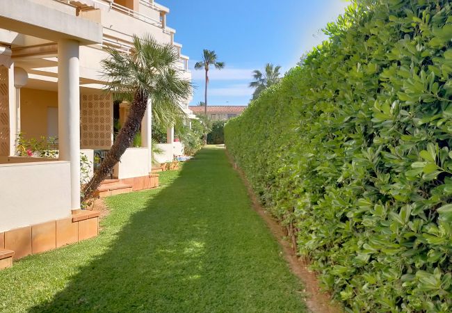 Apartment in Denia -  AP2236 El Faro