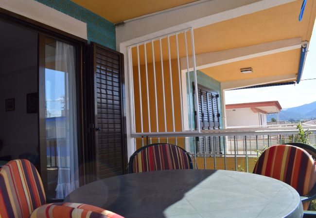 Apartment in Oliva - Anacasa Illa de Xipre Pau Pi AP0500  Apartment in Oliva - Anacasa Illa de Xipre Pau Pi AP0500