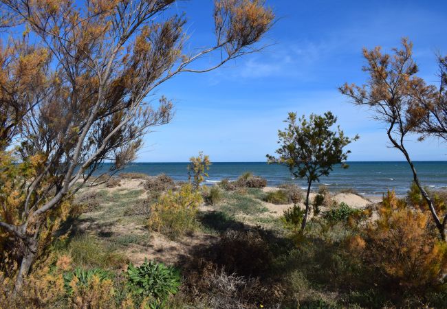 Apartment in Oliva - Anacasa Avinyo Sector 5 AP121  Apartment in Oliva - Anacasa Avinyo Sector 5 AP121