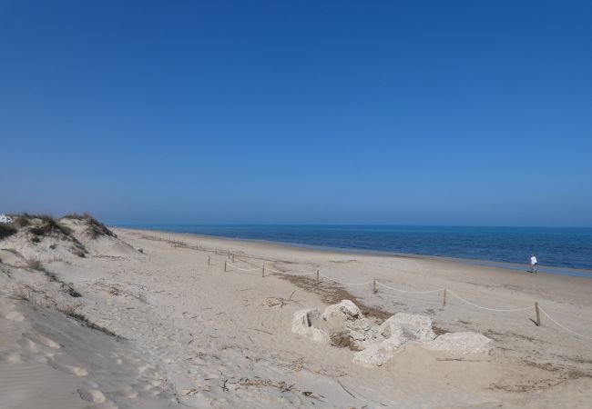 House in Oliva - Anacasa Bassetes Playa San Fernando CA550  House in Oliva - Anacasa Bassetes Playa San Fernando CA550