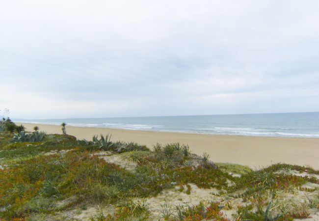 House in Denia - Anacasa Riu Montan Deveses AD4101  House in Denia - Anacasa Riu Montan Deveses AD4101