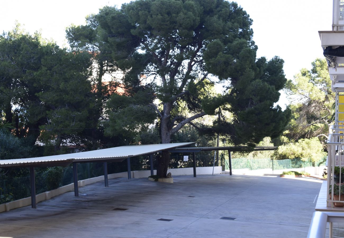 Apartment in Denia - El Cid Playa Rotas AP2130