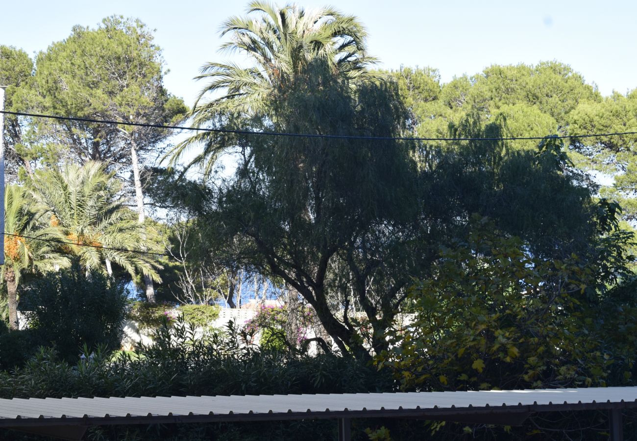 Apartment in Denia - El Cid Playa Rotas AP2130