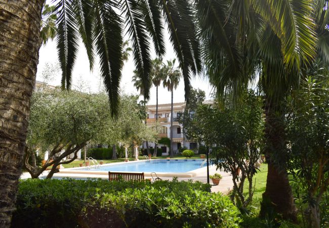 Apartment in Denia - Anacasa El Patio Denia AP1117 Apartment in Denia - Anacasa El Patio Denia AP1117