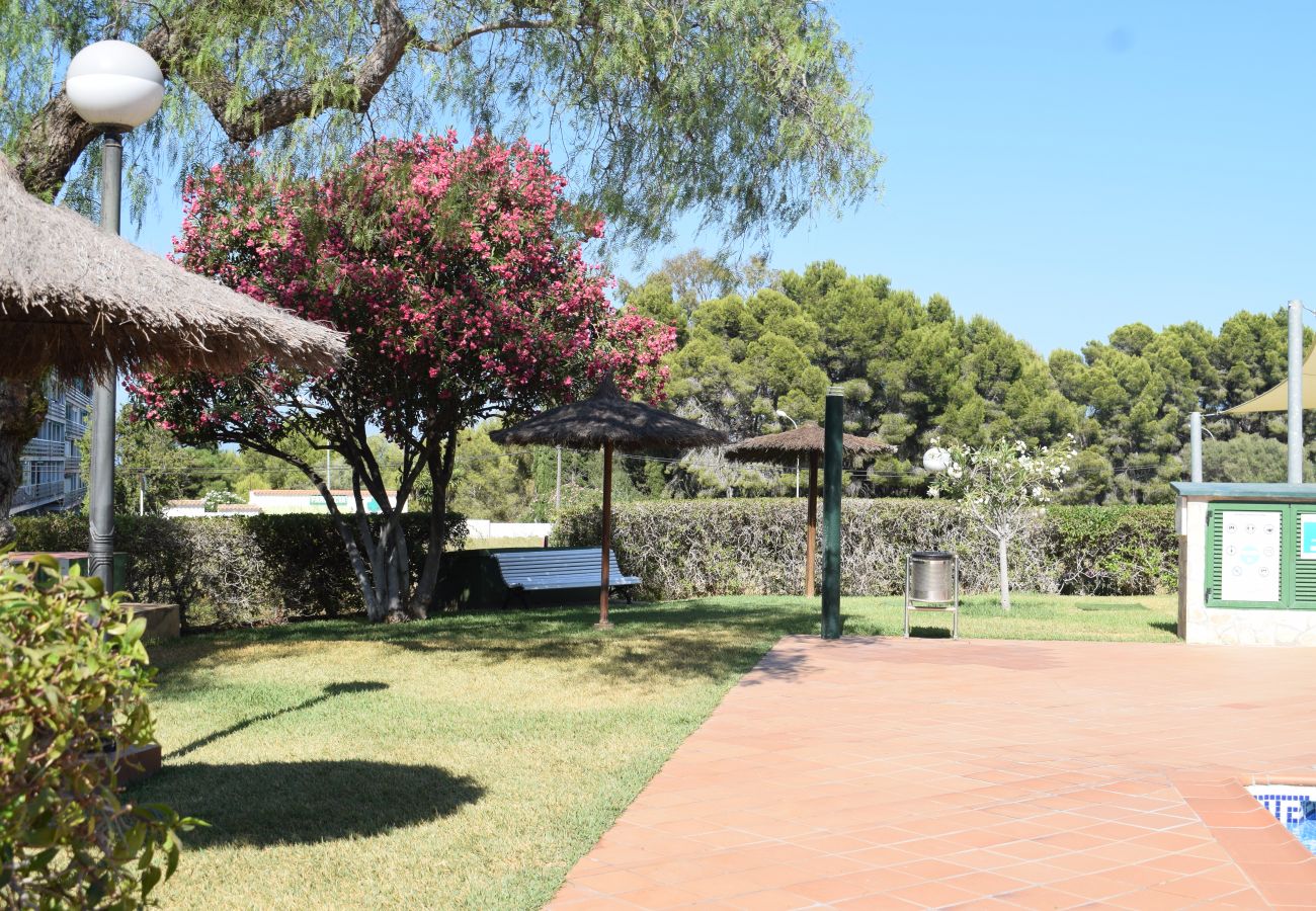 Appartement à Denia -  Anacasa Las Viñas Playa Rotas AP2140 