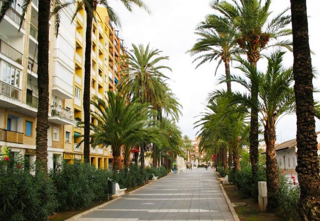 Appartement à Denia - Anacasa Appartement Explanada Cervantes Puerto AP1102  Appartement à Denia - Anacasa Appartement Explanada Cervantes Puerto AP1102