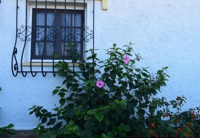 Appartement à Denia - Anacasa Marineta Bot PB2103 Appartement à Denia - Anacasa Marineta Bot PB2103