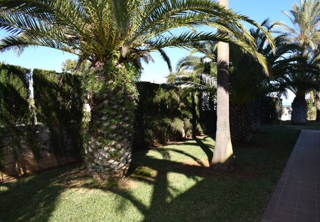 Studio à Denia - Anacasa Estudio Marivent Deveses ES1125 Studio à Denia - Anacasa Estudio Marivent Deveses ES1125