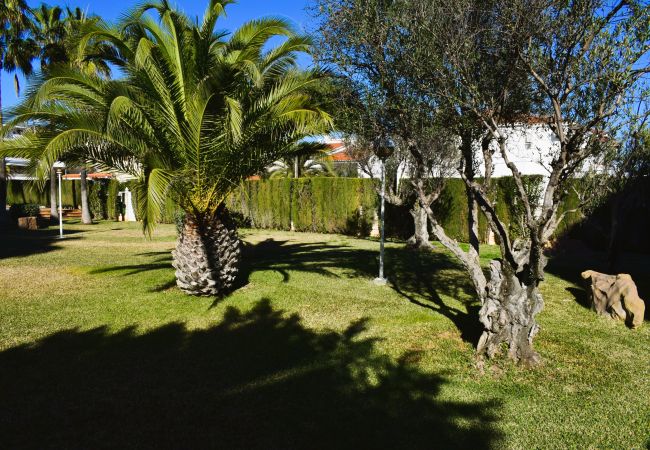 Studio à Denia - Anacasa Estudio Marivent Deveses ES1125 Studio à Denia - Anacasa Estudio Marivent Deveses ES1125