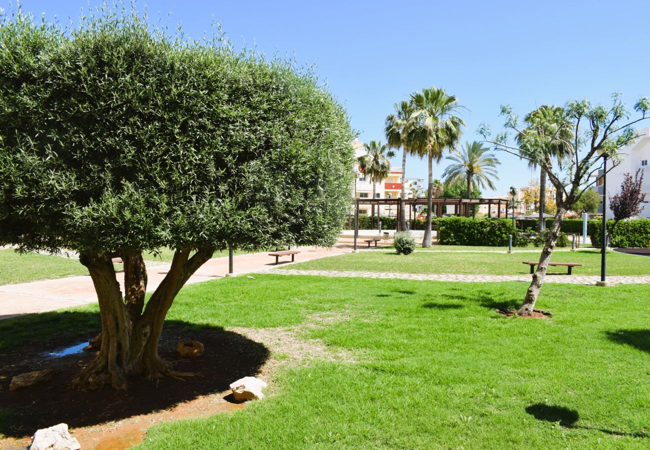 Appartement à Denia - Anacasa Atico Playasol Mediterranea AT3207